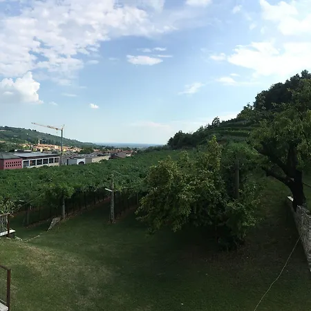 La Bella Vigna