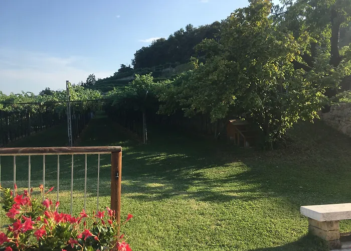 La Bella Vigna 3*