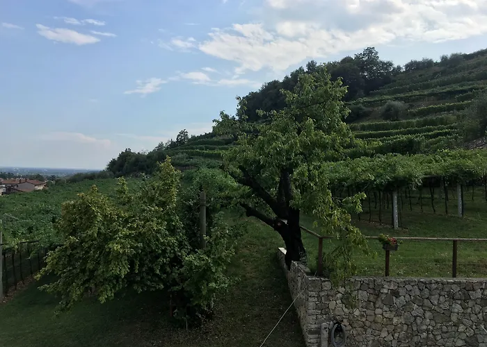 住宿加早餐酒店 La Bella Vigna 3*