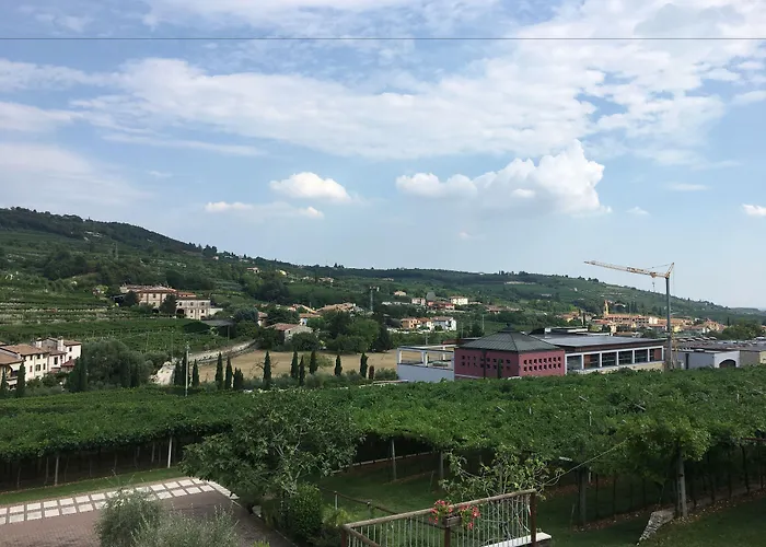 La Bella Vigna 住宿加早餐酒店
