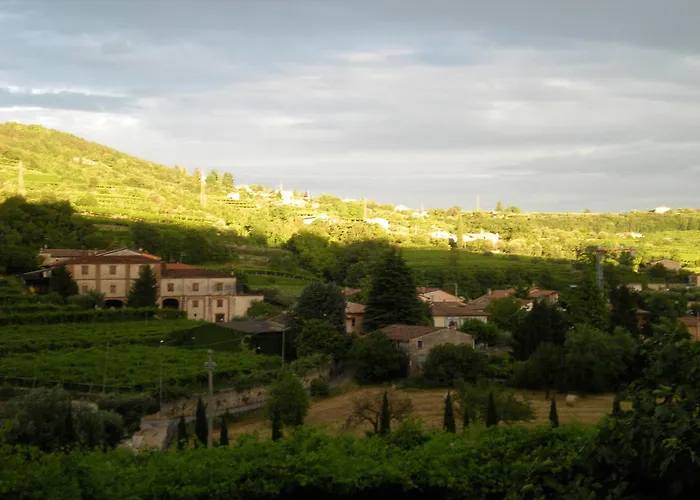 住宿加早餐酒店 La Bella Vigna