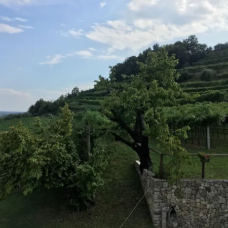 Bed & Breakfast La Bella Vigna 3*