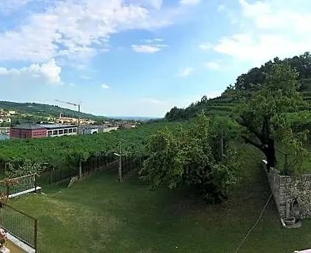 Bed and breakfast La Bella Vigna